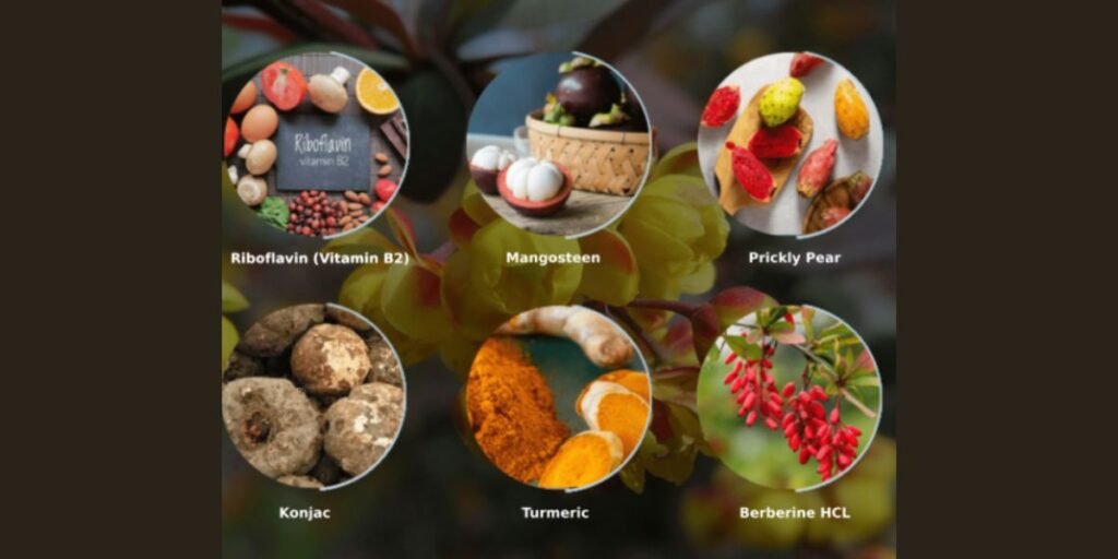 ingredients of the Ignitra supplement